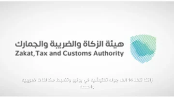زاتكا تنفذ 14 ألف جولة تفتيشية في يونيو وتضبط مخالفات ضريبية واسعة